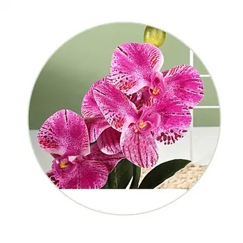 Pranešk apie netikrą Bonsai Augalų Energingas Netikrą Drugelių Orchidėja Bonsai Realus Modeliavimas Gėlę Home Office Lauko Apdailos Ryškus