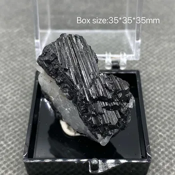 Retas Gamtos Juoda turmalino Kvarco Kristalo Mineralinių Pavyzdys Gydymo +Box3.5 mm